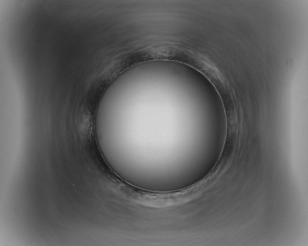 X0000116330029200912091048