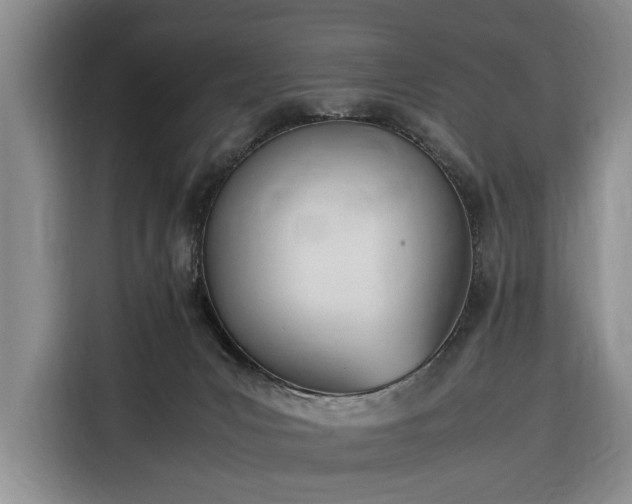 X0000116330031200912091048