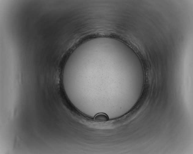 X0000116330032200912091048