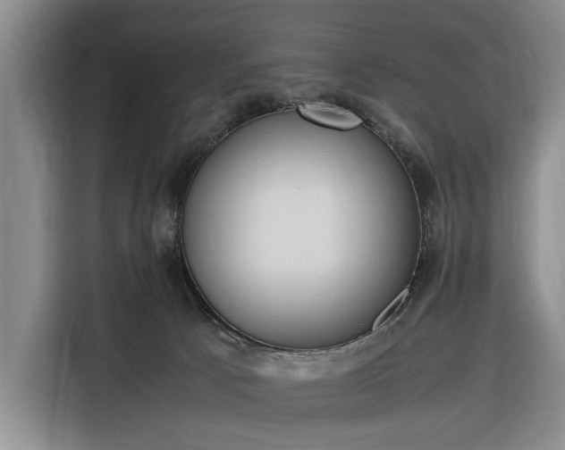 X0000116330033200912091048