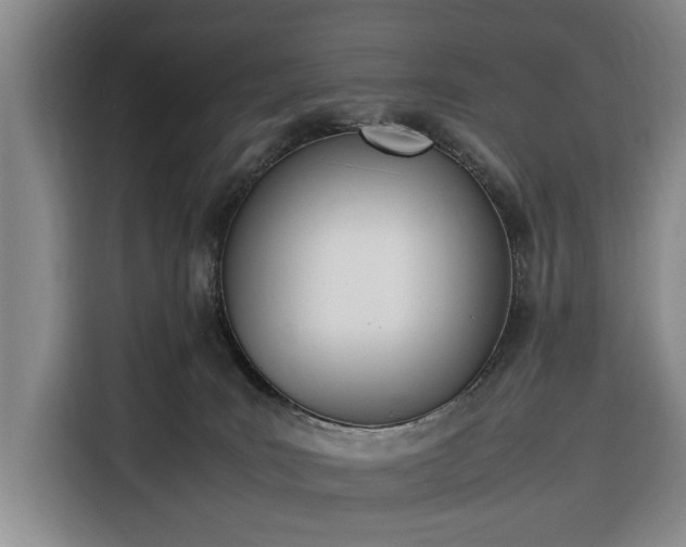 X0000116330035200912091048