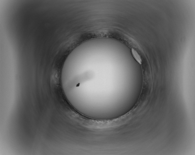 X0000116330037200912091048