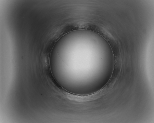 X0000116330039200912091048