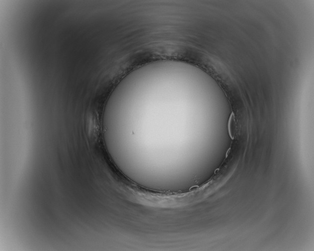 X0000116330040200912091048