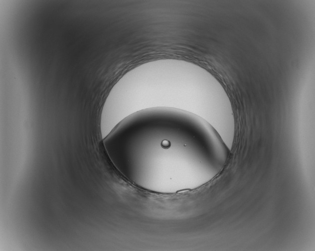 X0000116330041200912091048