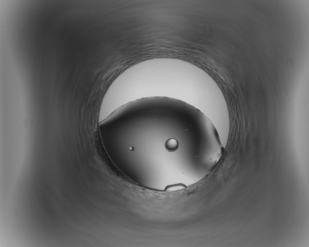 X0000116330043200912091048