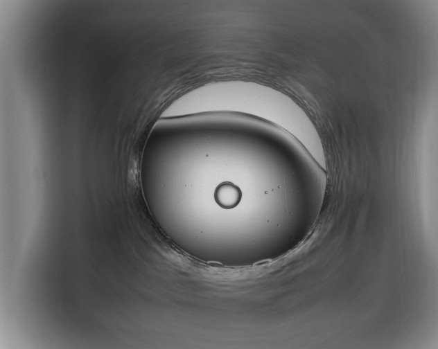 X0000116330045200912091048