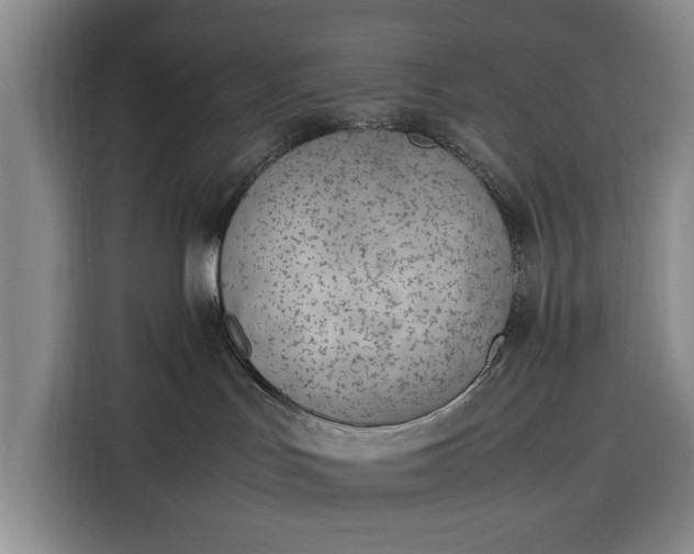 X0000116330047200912091048