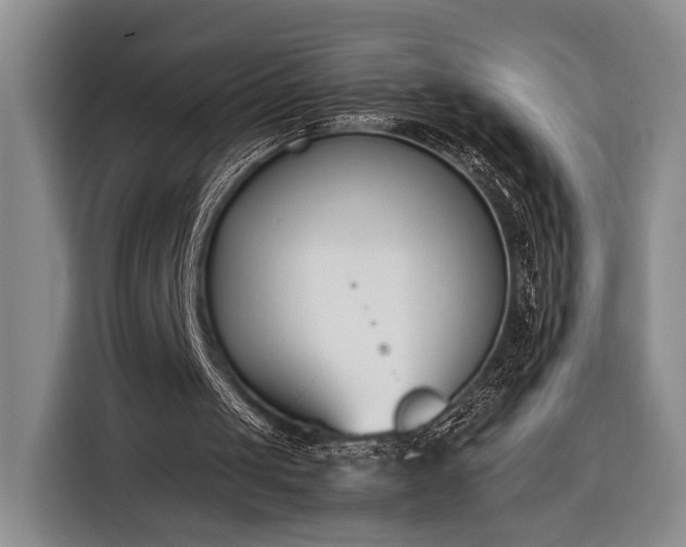 X0000116330049200912091047