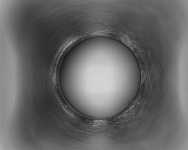 X0000116330050200912091047