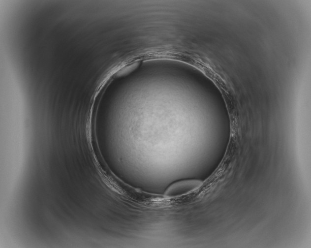 X0000116330052200912091047
