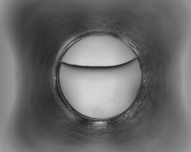 X0000116330053200912091047