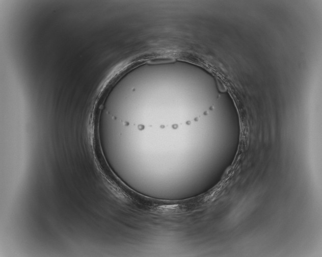 X0000116330054200912091047