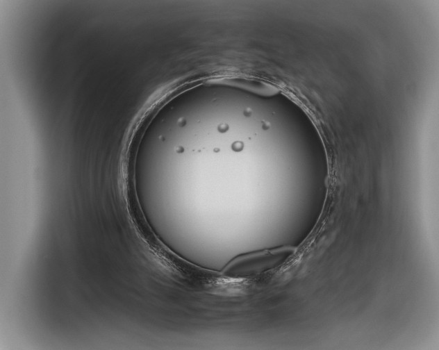X0000116330055200912091047
