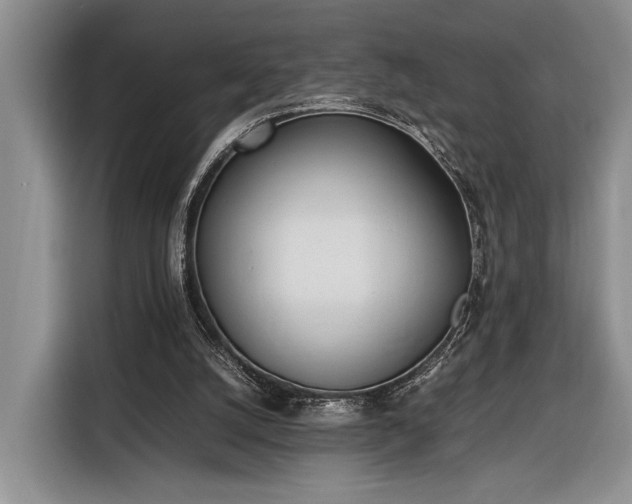 X0000116330056200912091047