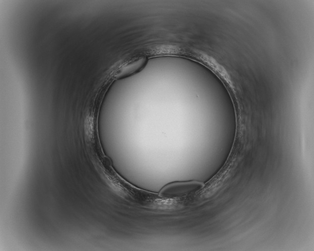X0000116330057200912091047