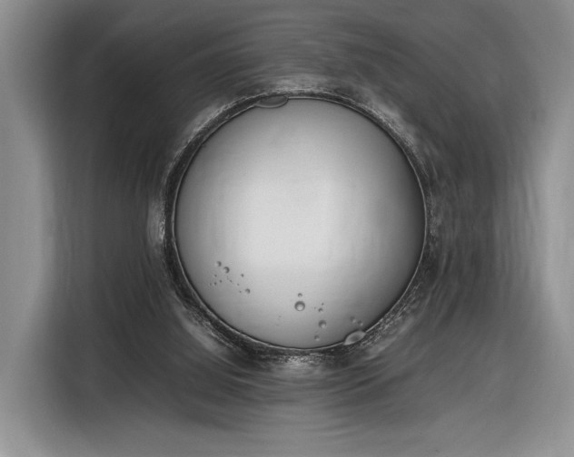 X0000116330060200912091047