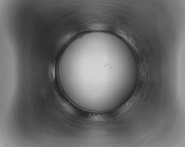 X0000116330062200912091047