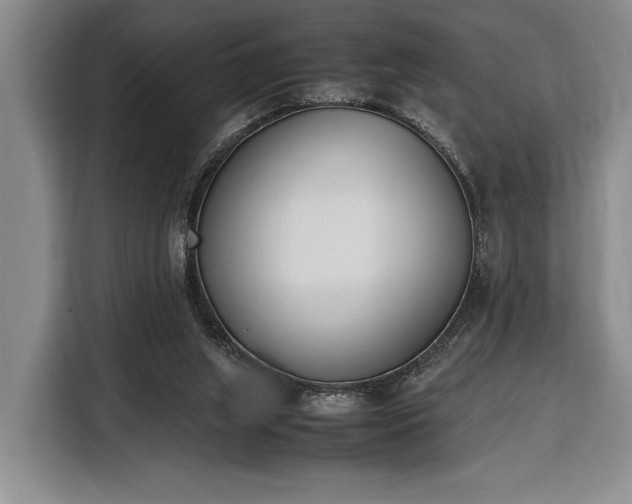 X0000116330063200912091047