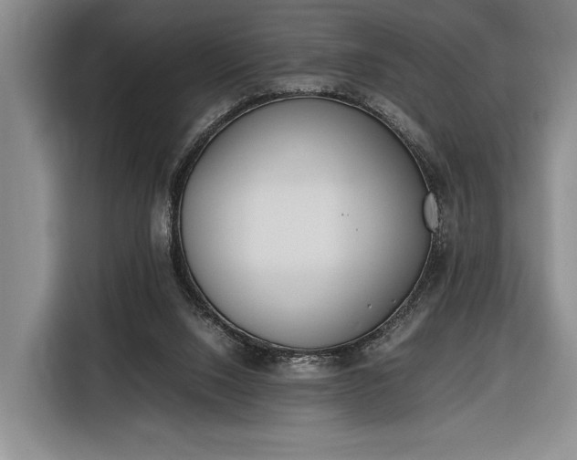 X0000116330064200912091047