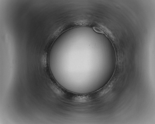 X0000116330065200912091047