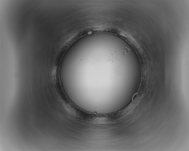 X0000116330066200912091047