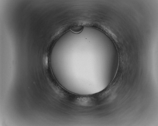 X0000116330067200912091047