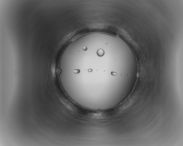 X0000116330068200912091047