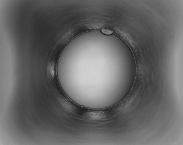 X0000116330069200912091047