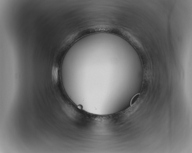 X0000116330070200912091047