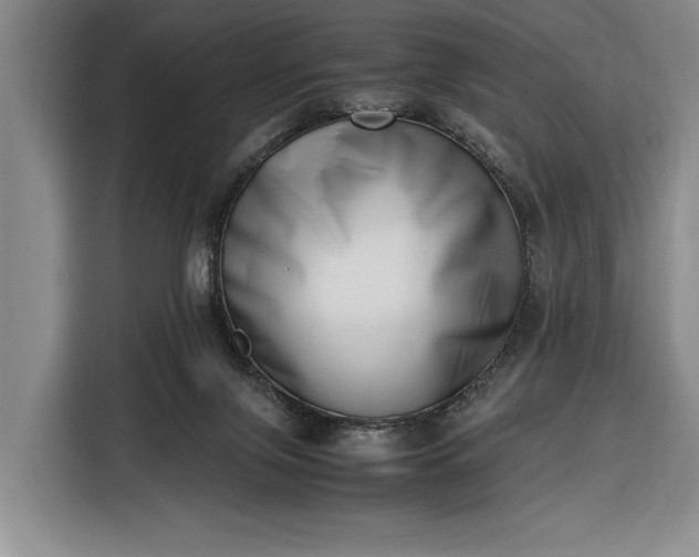 X0000116330071200912091047
