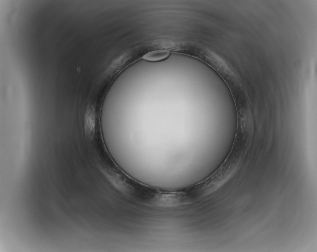 X0000116330072200912091047