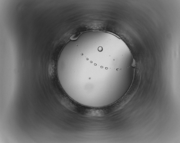 X0000116330073200912091047