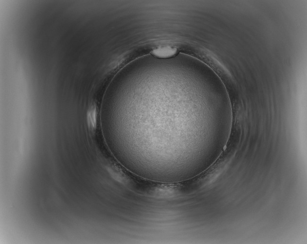 X0000116330076200912091047