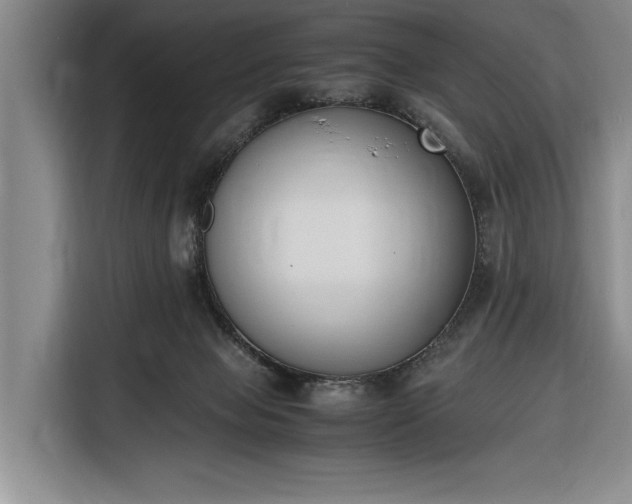 X0000116330077200912091047