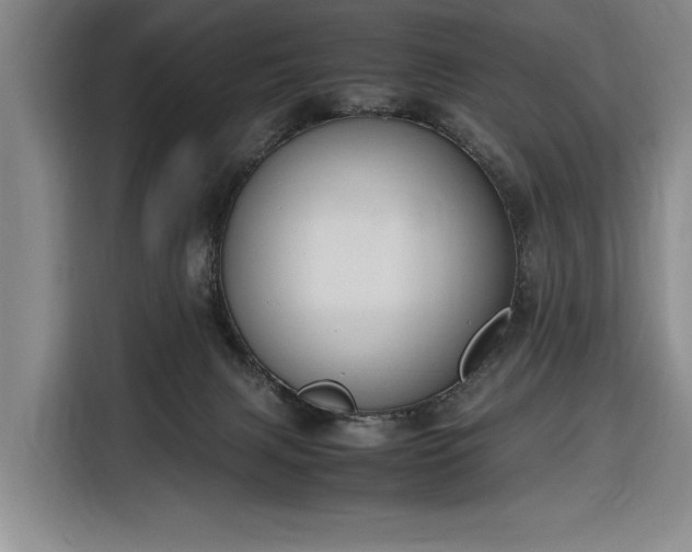 X0000116330079200912091048