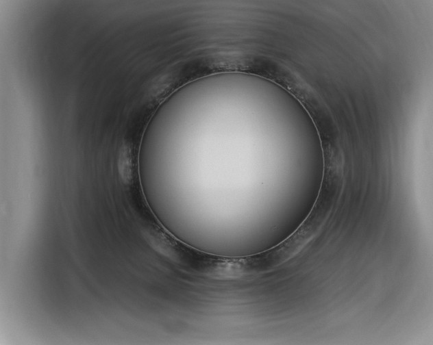 X0000116330080200912091048