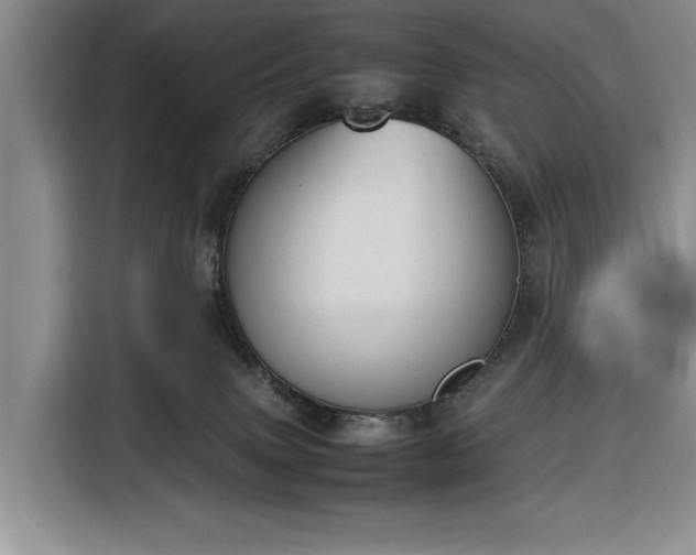 X0000116330083200912091048
