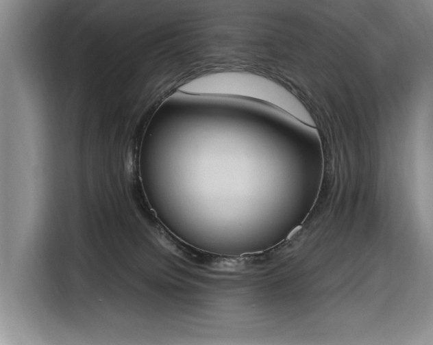 X0000116330084200912091048