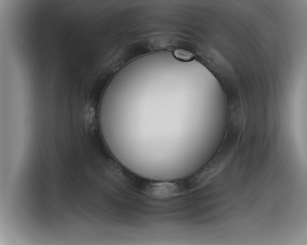 X0000116330087200912091048