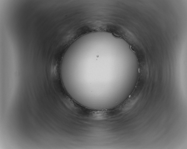 X0000116330088200912091048