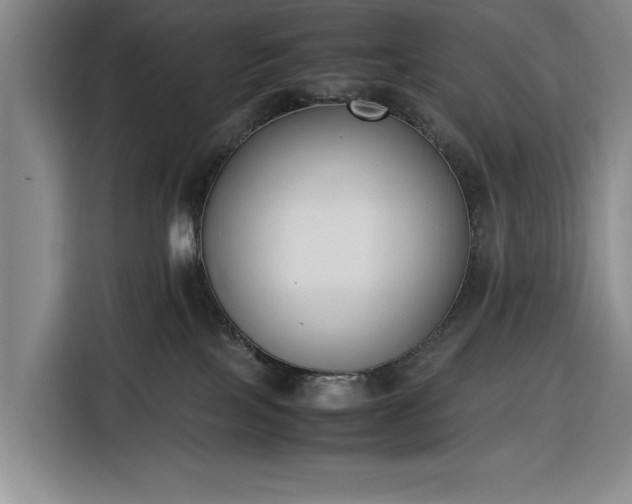 X0000116330089200912091048