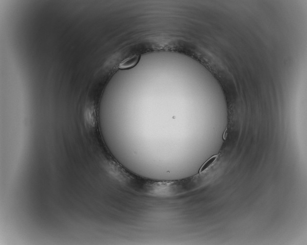 X0000116330090200912091048