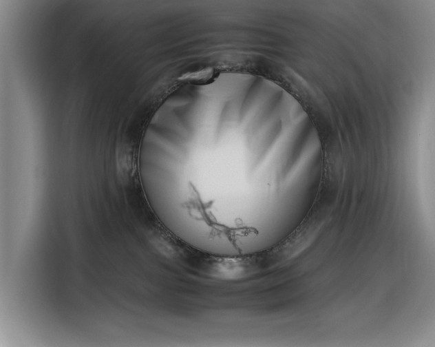 X0000116330091200912091048