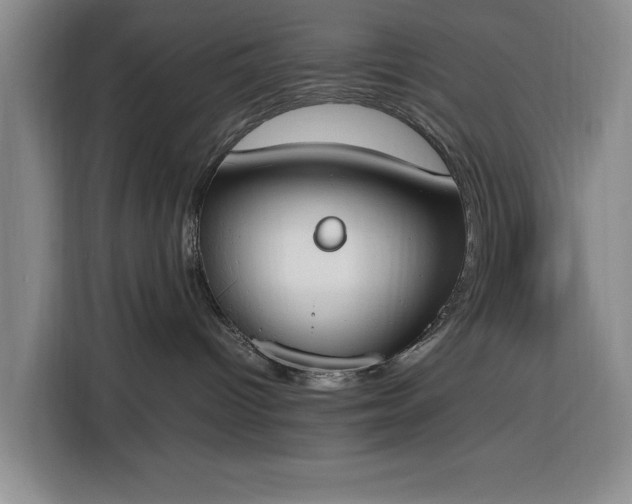 X0000116330096200912091048