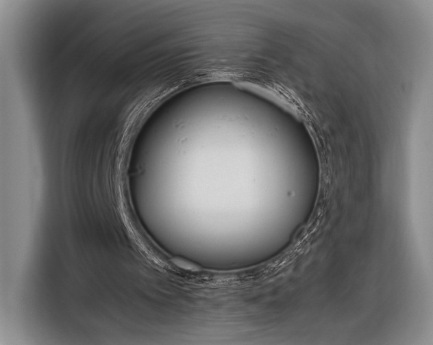 X0000116330097200912091047