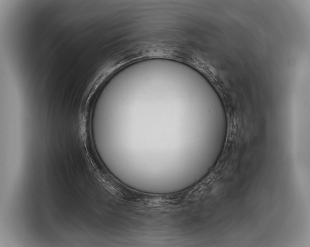 X0000116330098200912091047