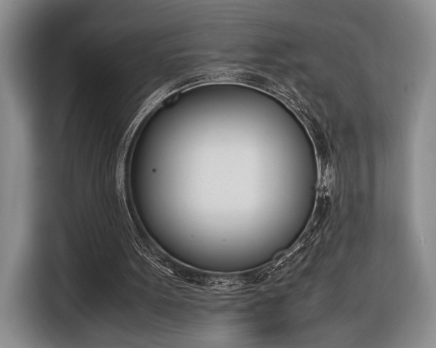 X0000116330099200912091047