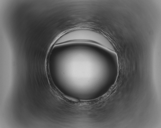 X0000116330100200912091047