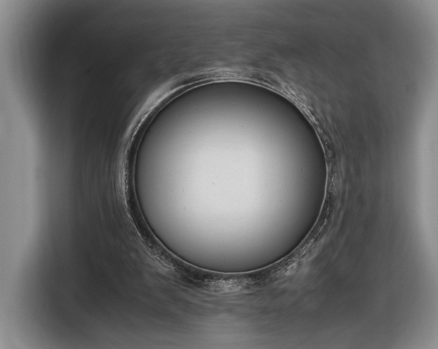 X0000116330103200912091047